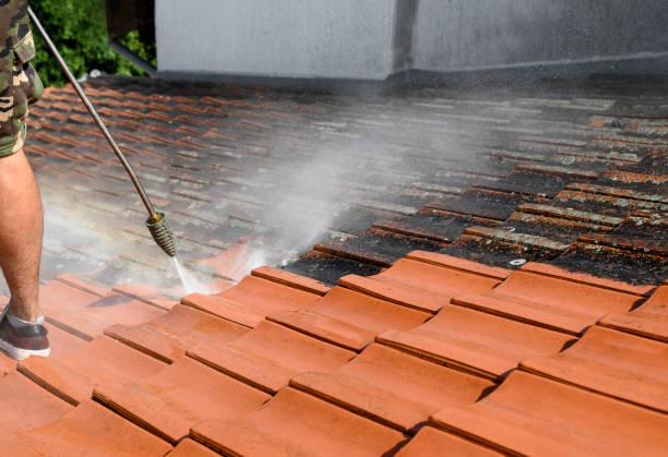 Best Roof Pressure Washing  in Citrus City, TX