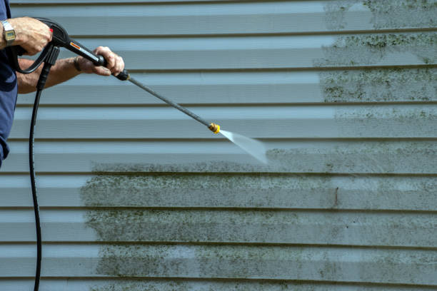 Best Pressure Washing Patio  in Citrus City, TX